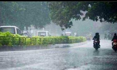 *जिले में अब तक 620.2मि.मी.बारिश दर्ज, देखिए तहसीलवार आंकड़े*