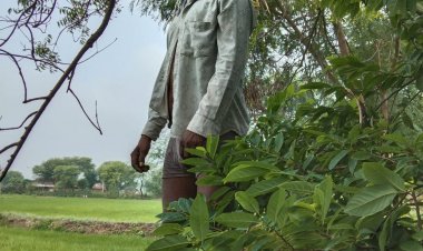 अज्ञात कारण के चलते 32 वर्षीय युवक ने लगाई फांसी, मौत