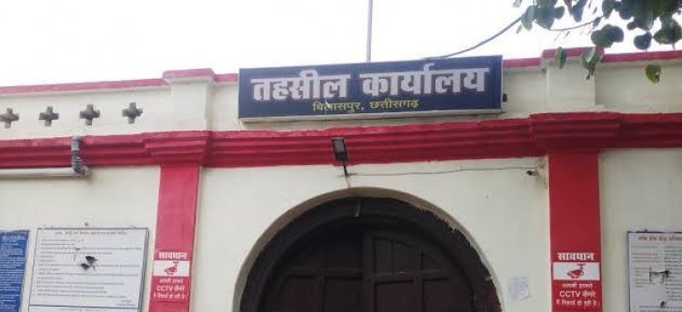 बिलासपुर तहसीलदार के फर्जी सील साइन से बन रहा था जाति निवास प्रमाण पत्र