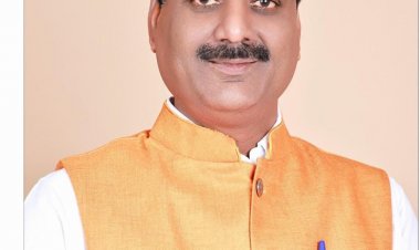 विधायक रजनी सिंह की अनुशंसा पर बेलतरा विधानसभा में 69 लाख  के विभिन्न रोड स्वीकृत