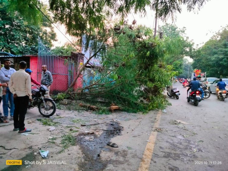जीडीसी कॉलेज के सामने तेज रफ्तार कार ने कई युवतियों को मारी ठोकर,सभी घायल एक हालत गंभीर