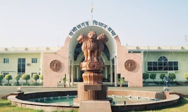 वन विभाग में भारी भ्रष्टाचार