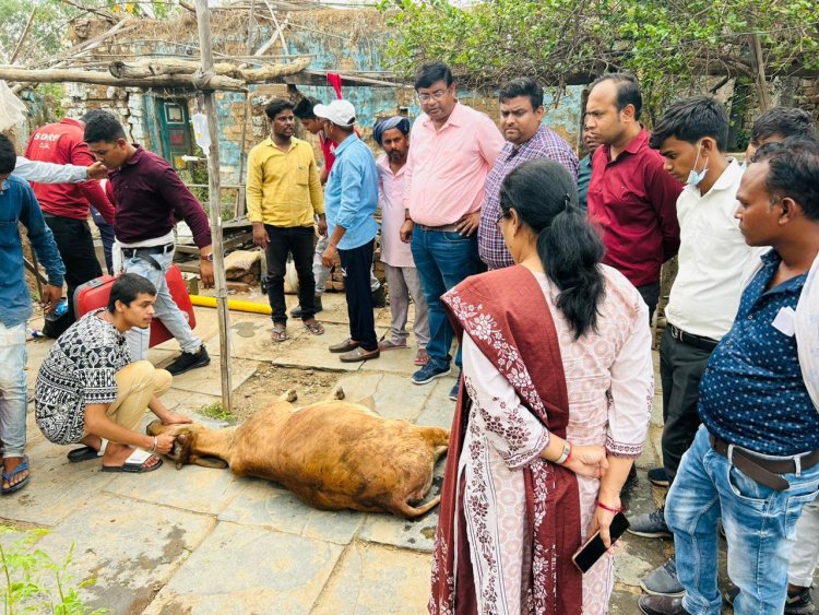 *60 फीट गहरे सूखे कुएं में गिरी गाय को निकाला गया सुरक्षित बाहर