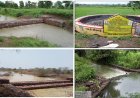 *World Environment Day:–  813 गांव में जिला पंचायत चला रहा मिशन जल रक्षा अभियान, विभिन्न जतन अपना भूजल स्तर बढ़ाने की कवायद*