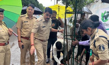 जहाँ है हरियाली वहाँ है  खुशहाली:बिलासपुर एसपी रजनेश सिंह सहित पुलीस अधिकारीयों ने रोपे पौधे