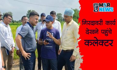*कलेक्टर पहुंचे खेत, डिजिटल क्रॉप सर्वे का लिया जायज़ा*  *पायलट प्रोजेक्ट के रूप में बोदरी तहसील का चयन*