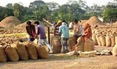 धान खरीदी: समर्थन मूल्य पर धान खरीदी के लिए पंजीयन एवं संशोधन 31 अक्टूबर तक