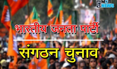 *Bjp में नियुक्ति: दर्जन भर से ज्यादा भाजपा मंडल अध्यक्षों की नियुक्ति, बनाए गए जिला प्रतिनिधि*