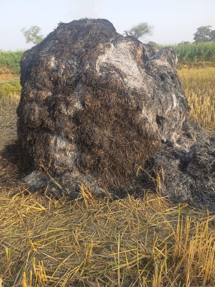 खलिहान में रखे धान की खरही में लगी आग, लाखो रूपये का नुकशान