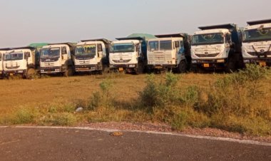 अवैध परिवहन करते 13 हाईवा जप्त, राजस्व और पुलिस विभाग की संयुक्त कार्रवाई