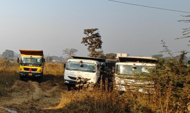 *कलेक्टर के निर्देश पर अवैध परिवहन पर ताबड़तोड़ कार्रवाई: 14 हाईवा जप्त*