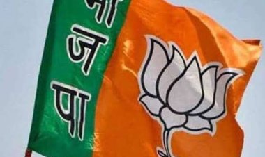 *Breaking: भाजपा ने नगर पालिका परिषद,नगर पंचायत अध्यक्ष सहित पार्षदों की जारी की लिस्ट। देखिए mornews*