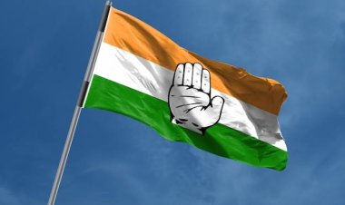 *जिला कांग्रेस कमेटी मुंगेली कार्यकारणी की घोषणा, देखिए सूची*