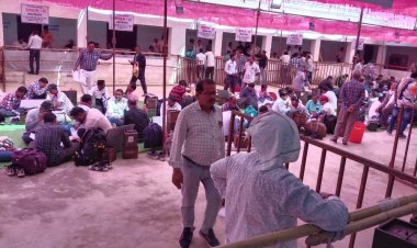 *द्वितीय चरण अंतर्गत 20 फरवरी को लोरमी जनपद क्षेत्र में होगा मतदान,   02 लाख 26 हजार 899 मतदाता अपने मताधिकार का करेंगे प्रयोग