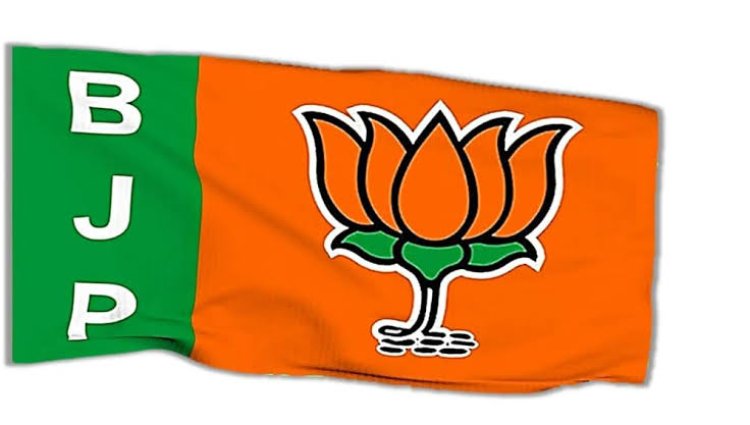 *बीजेपी ने बालोद और गरियाबंद में की  जिला पदाधिकारियों की घोषणा, देखिए सूची*