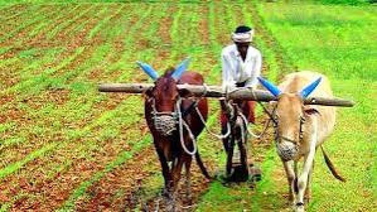 *किसानो को मिलेगा प्रति एकड़ 10 हजार रूपए की प्रोत्साहन राशि,दलहन, तिलहन की फसल लेने पर भी किसानों को मिलेगा कृषक उन्नति योजना का फायदा!कृषि विभाग ने जारी किए विस्तृत दिशा-निर्देश*