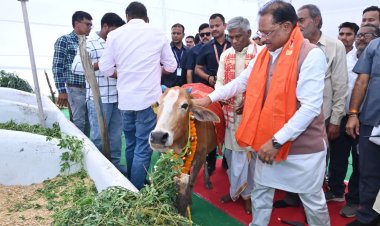 *गोमाता की पूजा-अर्चना कर मुख्यमंत्री विष्णु देव साय ने ग्राम लाखासार में गौधाम का किया शुभारंभ: कहा गोधन संरक्षण और गौसेवा को बढ़ावा देने राज्य सरकार प्रतिबद्ध,पशुपालकों से संवाद कर सेवा कार्य में लगे लोगों की सराहना की, राज्य के सभी गौधाम “सुरभि गौधाम” कहलाएंगे  मुख्यमंत्री ने दी स्वीकृति*