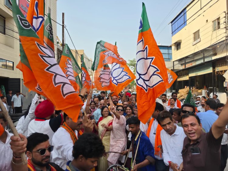 *भारतीय जनता पार्टी बिलासपुर शहर के वो सभी  मंडलों में प्रभारी एवं सहप्रभारीयों की घोषणा! अनुभवी नेताओं को दी गई है जिम्मेदारी,देखिए सूची*