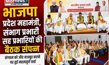 *भाजपा प्रदेश महामंत्री, संभाग प्रभारी, सह प्रभारियों की बैठक संपन्न*